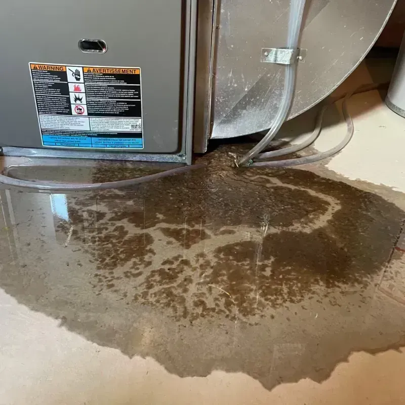 Appliance Leak Cleanup in Rocky Ford, CO